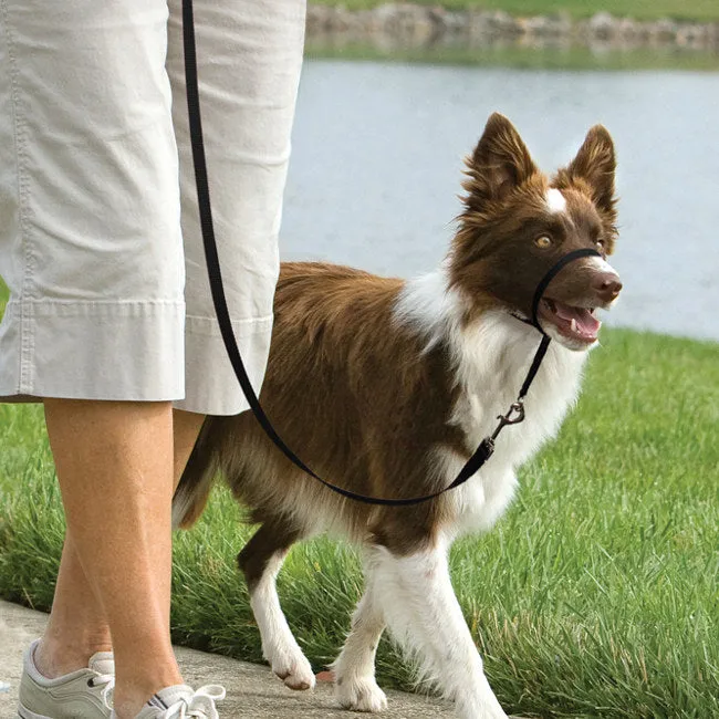 Easy Walk® Headcollar