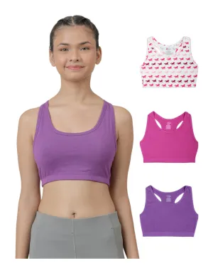 Sports Bra -Solid Colour & Horse All over Print combo of 3